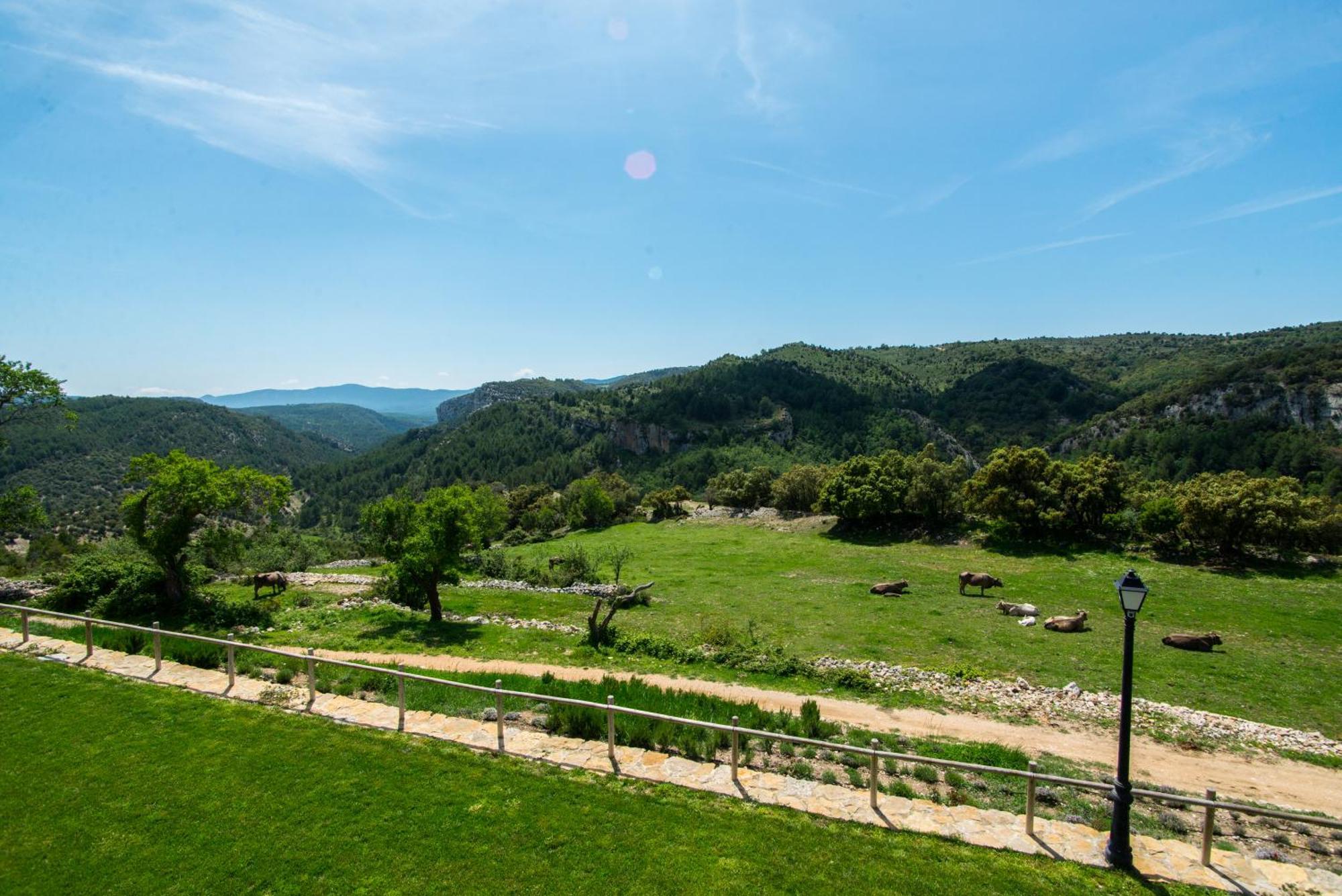 Font D'En Torres Solo Adultos Guest House Morella Exterior photo